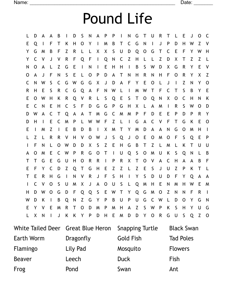 Pound Life Word Search