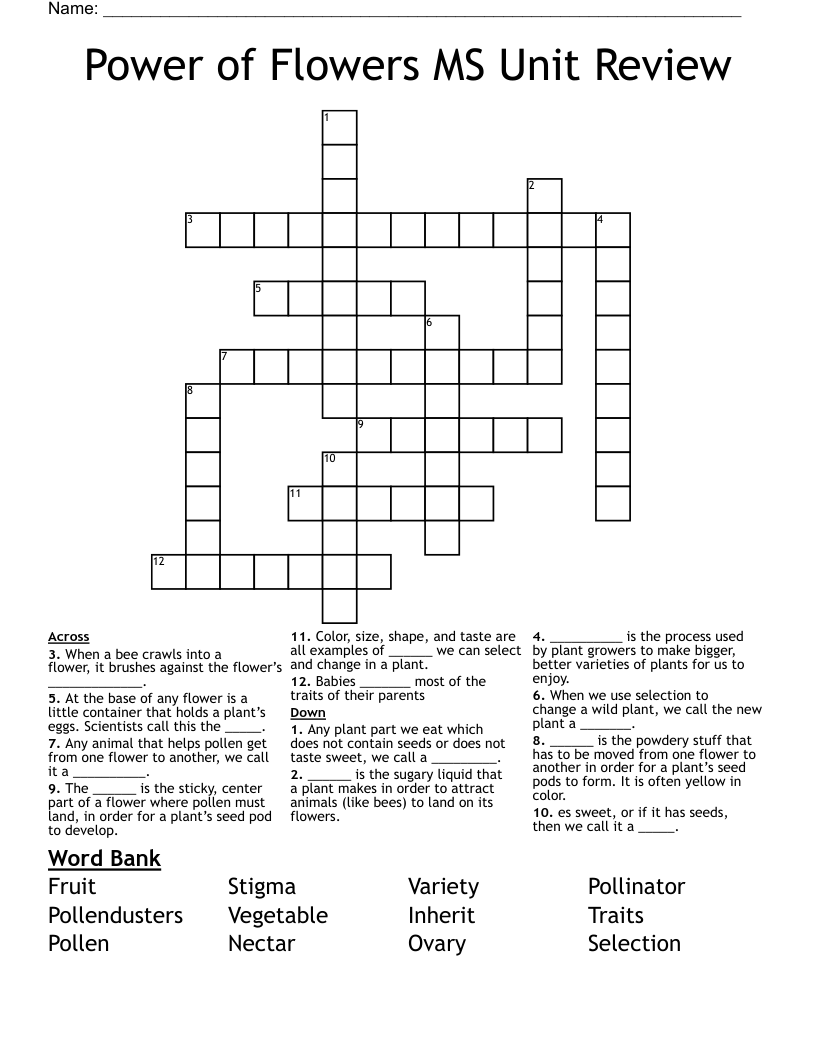 Power of Flowers MS Unit Review Crossword