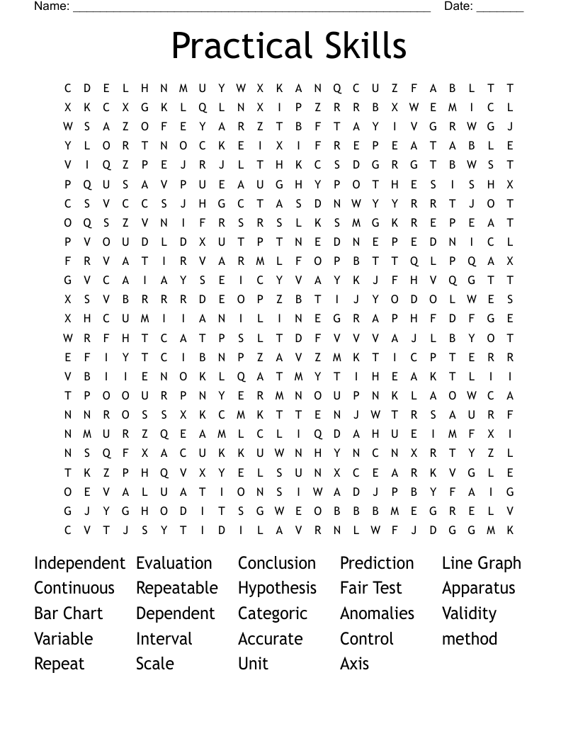 Practical Skills Word Search