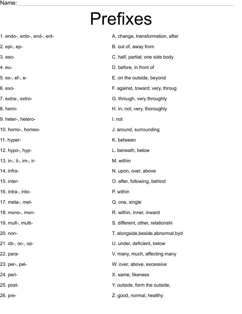 Prefixes Worksheet