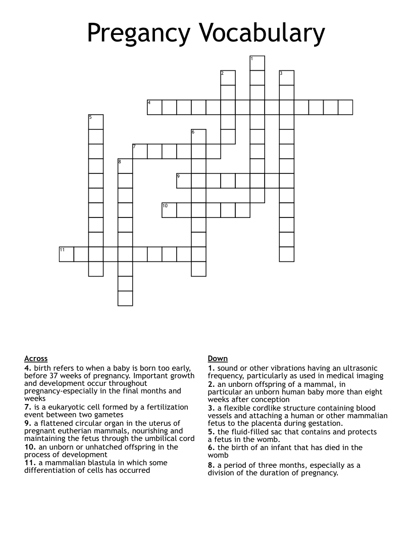 Pregancy Vocabulary Crossword