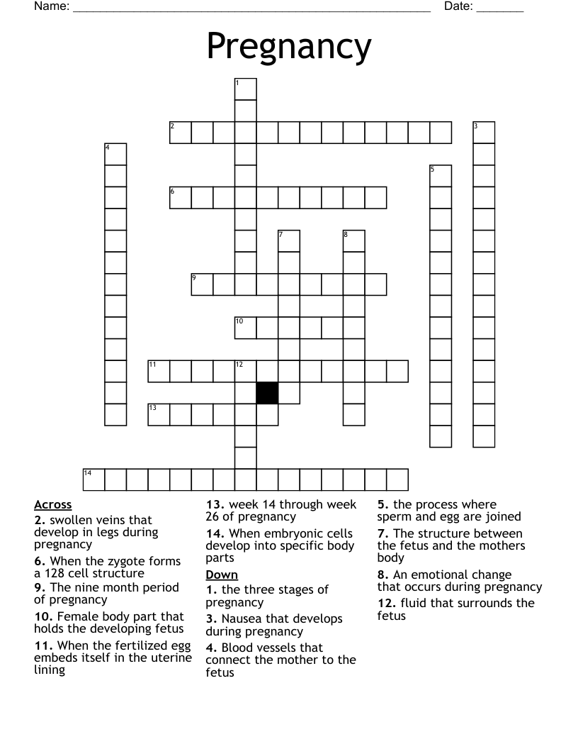 Pregnancy Crossword