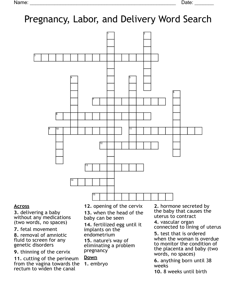 Pregnancy, Labor, and Delivery Word Search Crossword