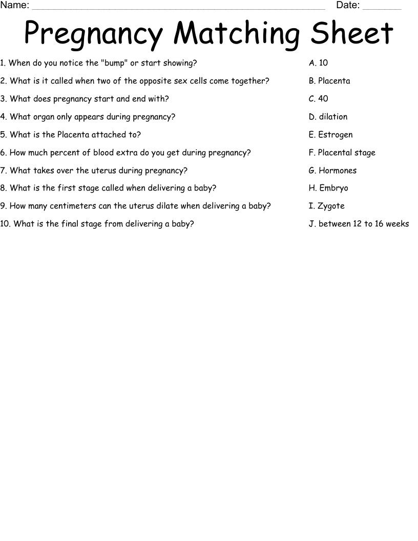 Pregnancy Matching Sheet Worksheet