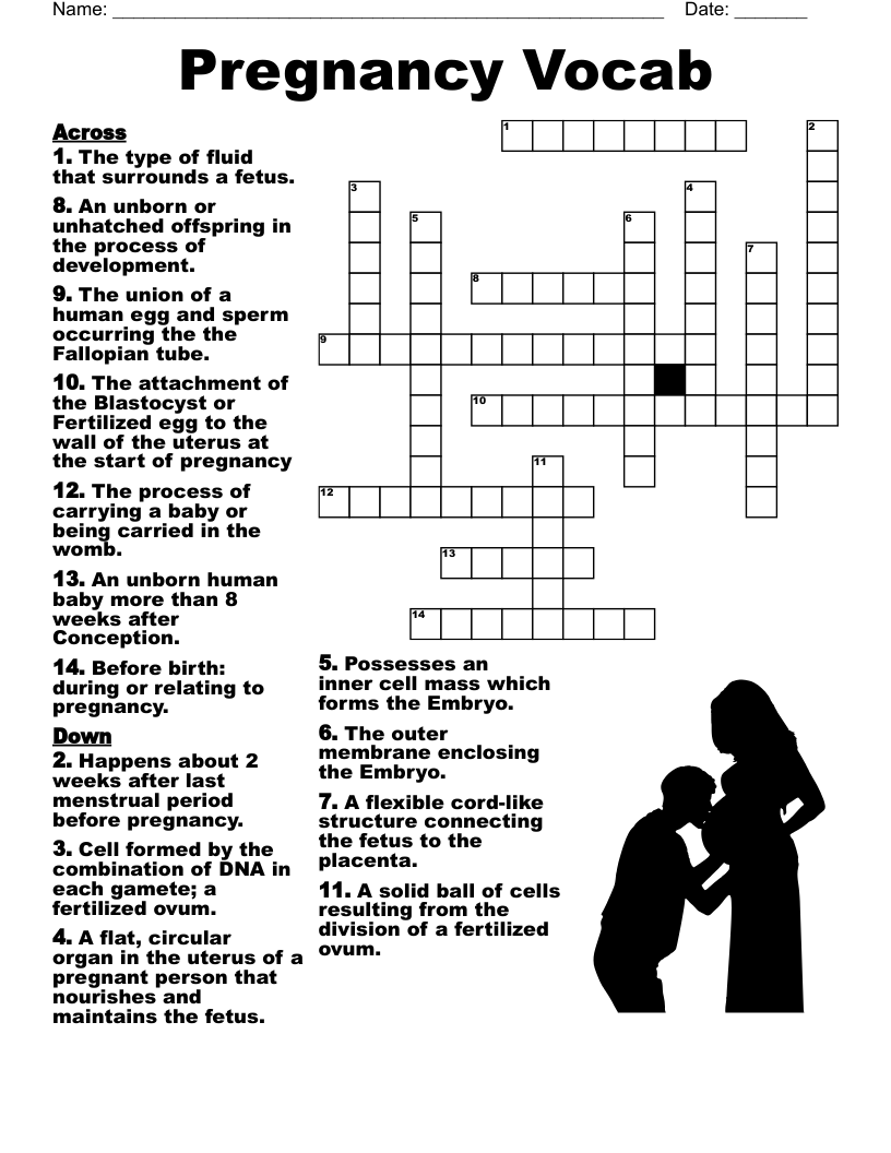 Pregnancy Vocab  Crossword