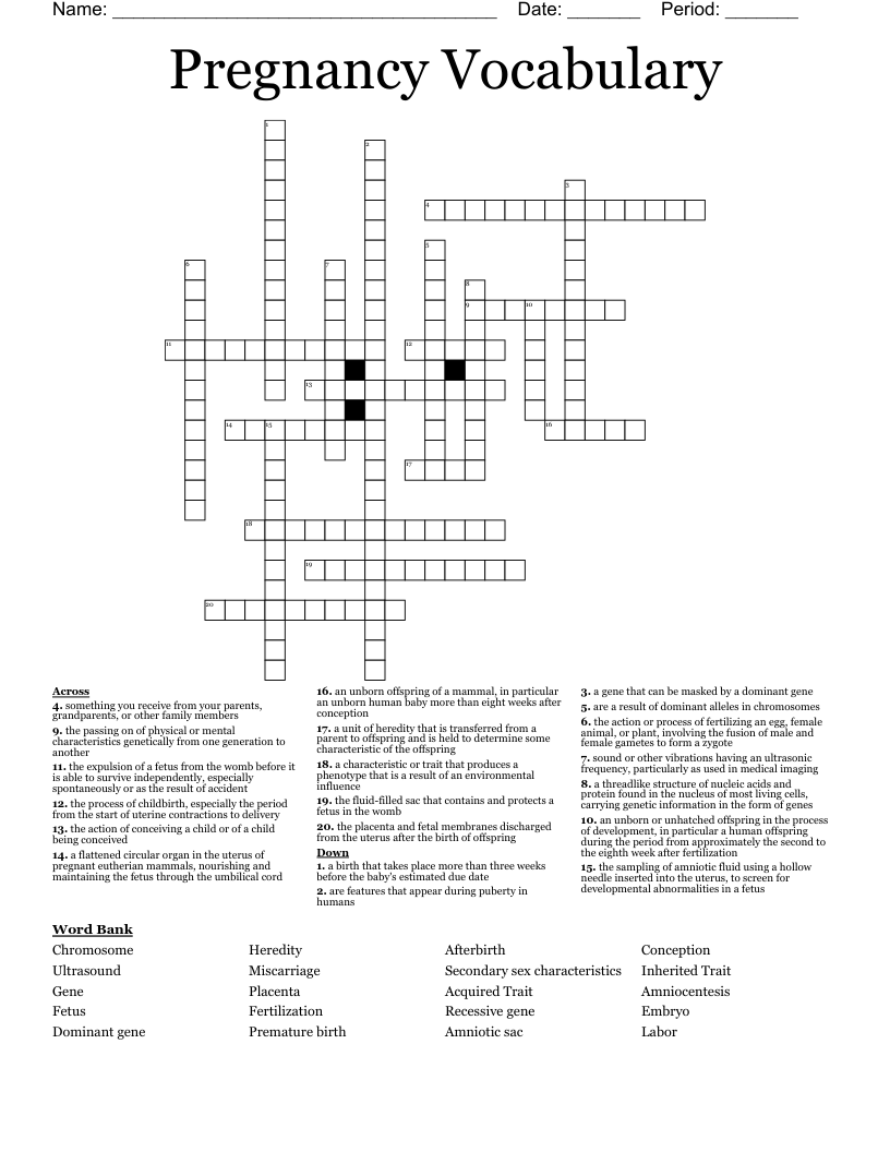 Pregnancy Vocabulary Crossword