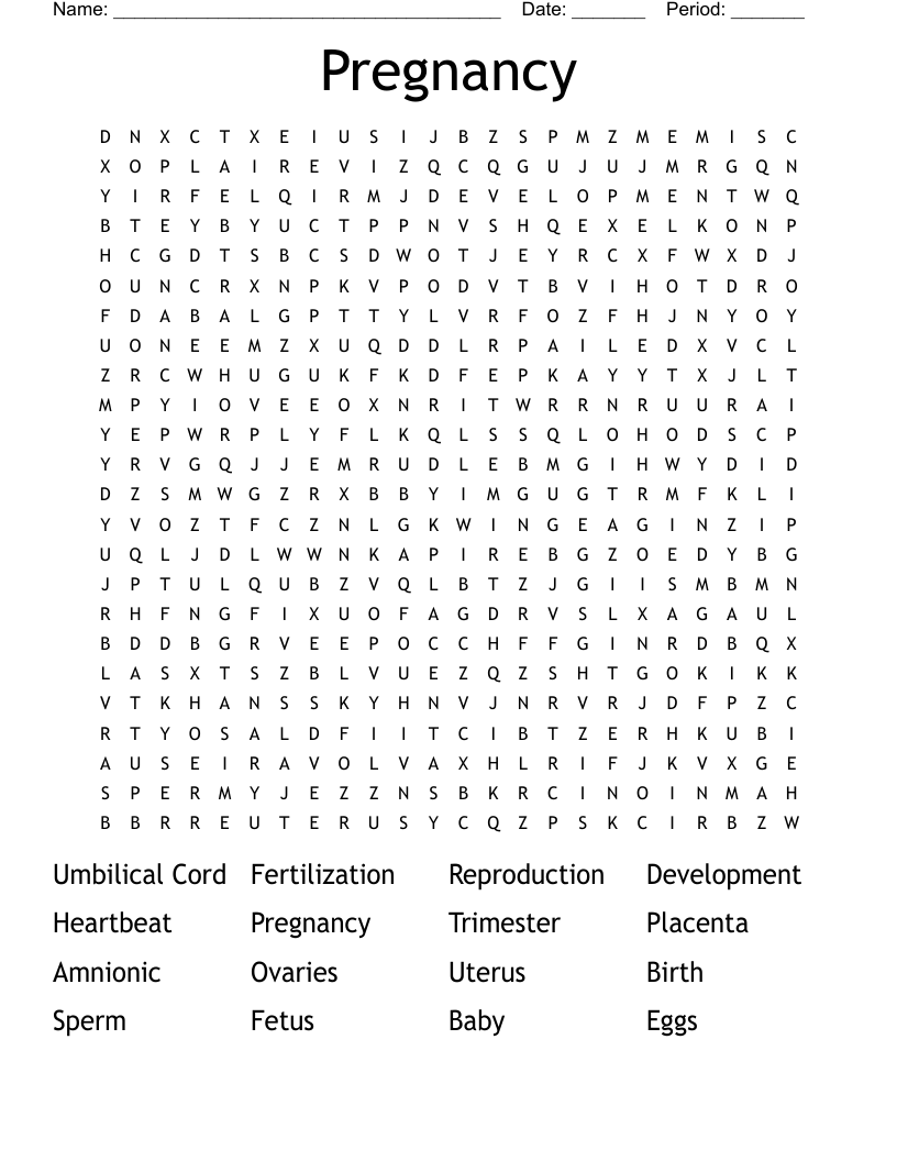 Pregnancy  Word Search