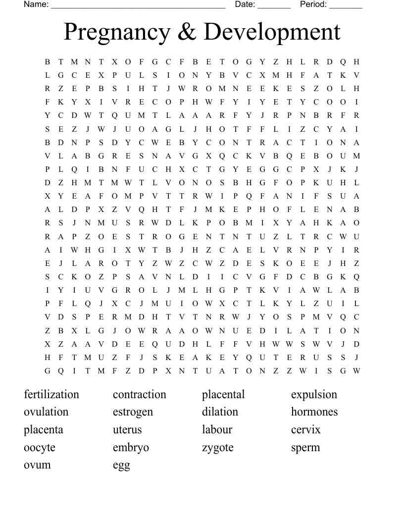 Pregnancy & Development Word Search