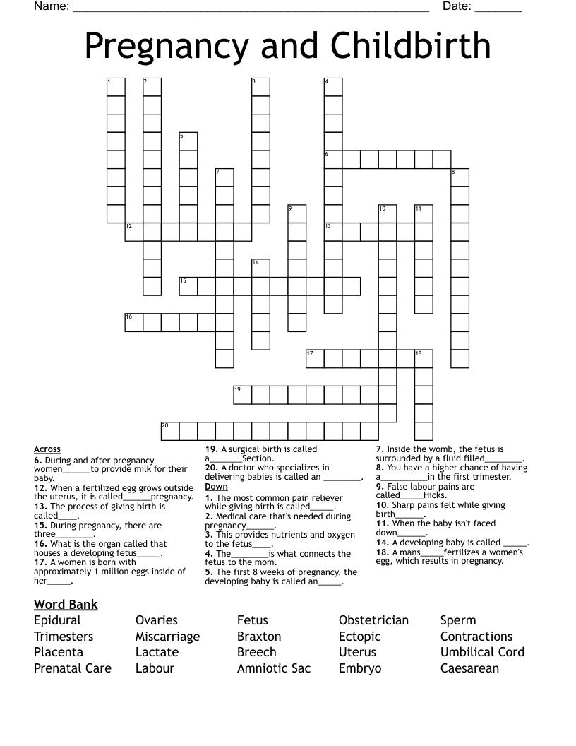 Pregnancy and Childbirth Crossword