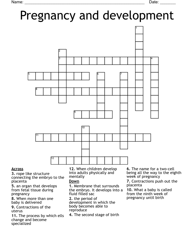 Pregnancy and development Crossword