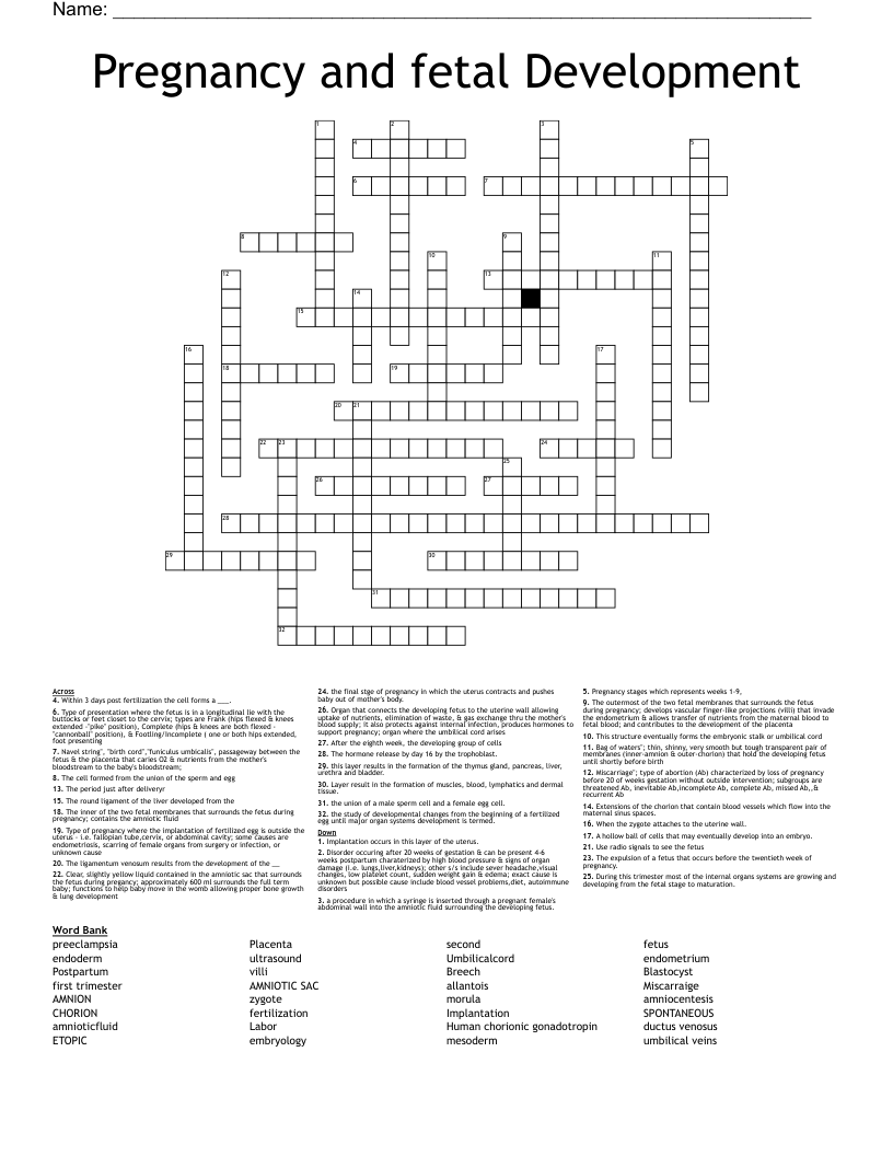 Pregnancy and fetal Development Crossword