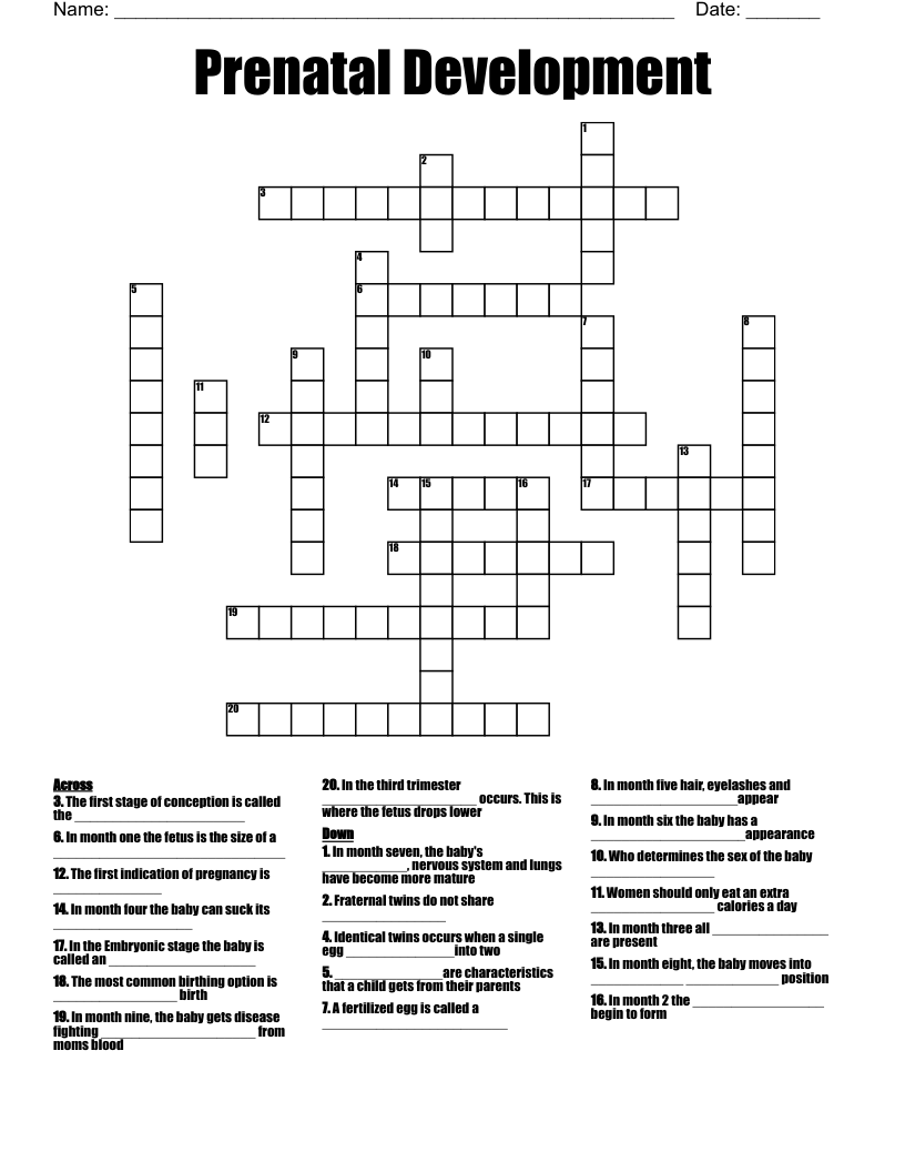 Prenatal Development Crossword