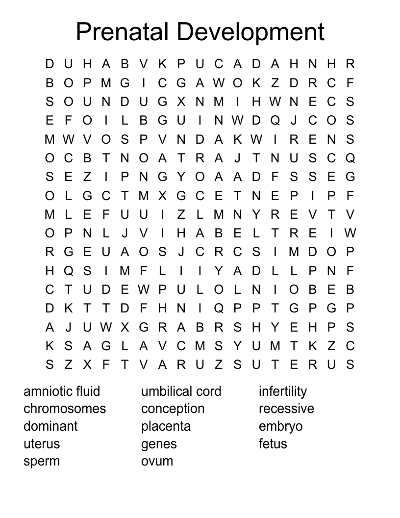 Prenatal Development Word Search