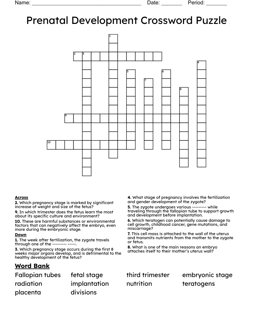 Prenatal Development Crossword Puzzle