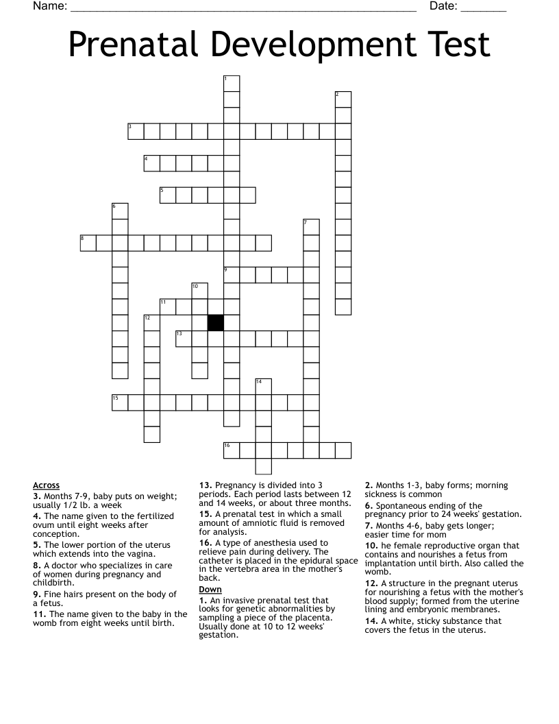 Prenatal Development Test Crossword