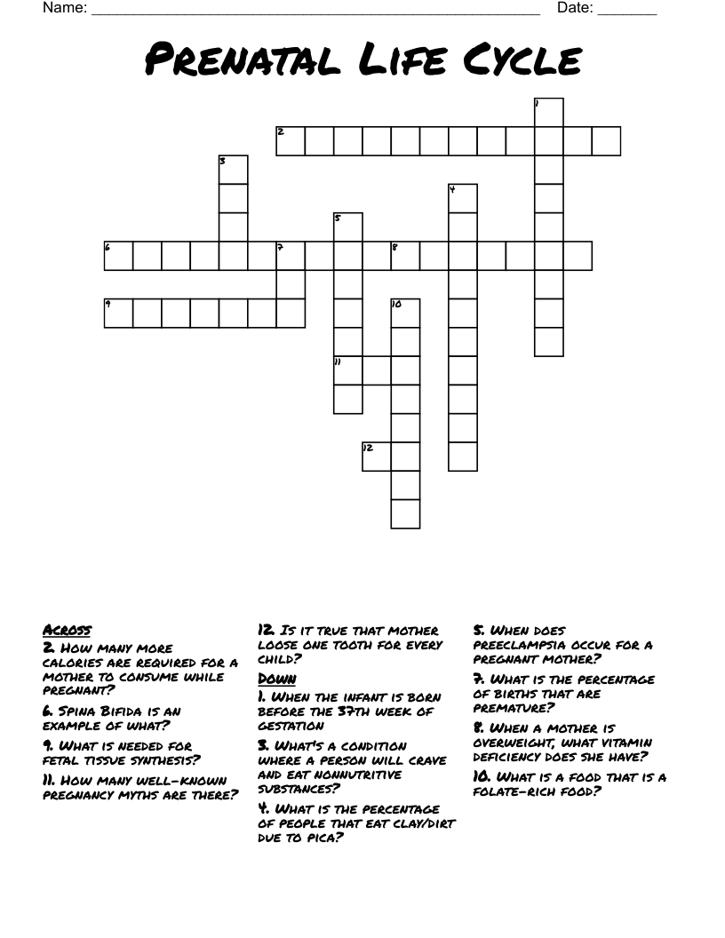 Prenatal Life Cycle  Crossword