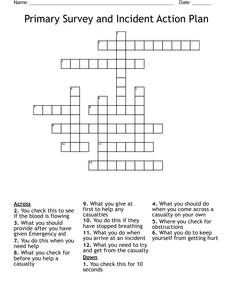 Primary Survey and Incident Action Plan Crossword