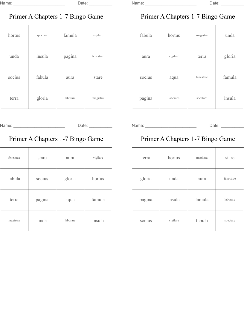 Primer A Chapters 1-7 Bingo Game