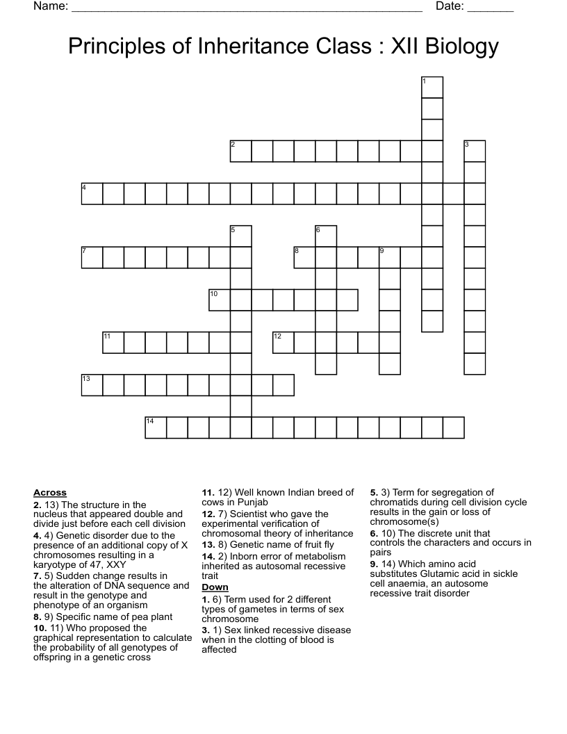 Principles of Inheritance   Class : XII  Biology Crossword