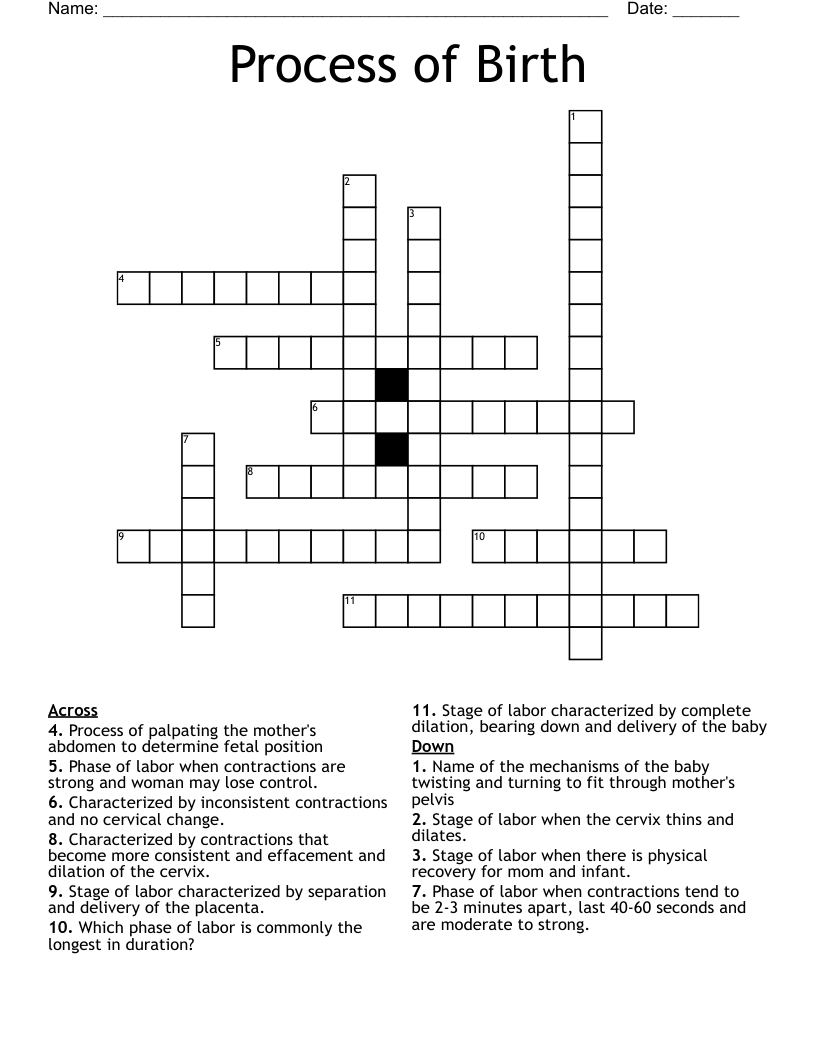 Process of Birth Crossword