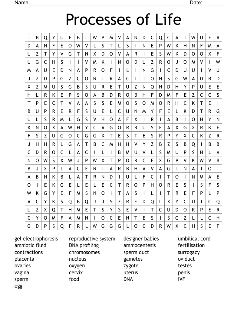 Processes of Life Word Search