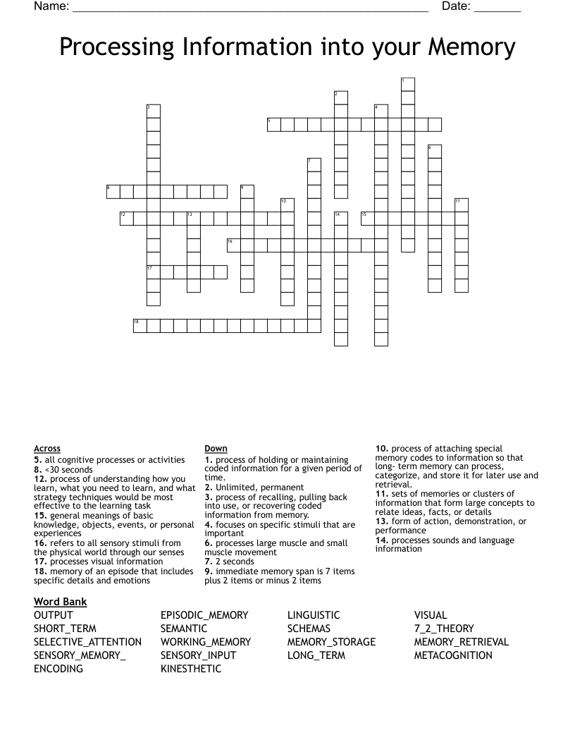 Processing Information into your Memory Crossword