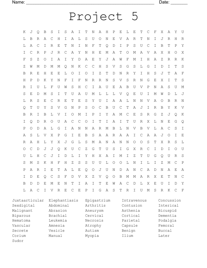 Project 5 Word Search