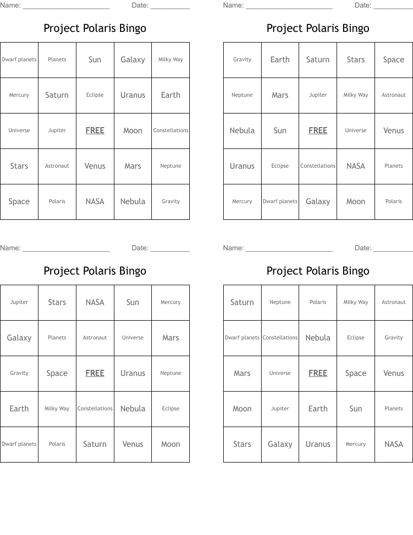 Project Polaris Bingo