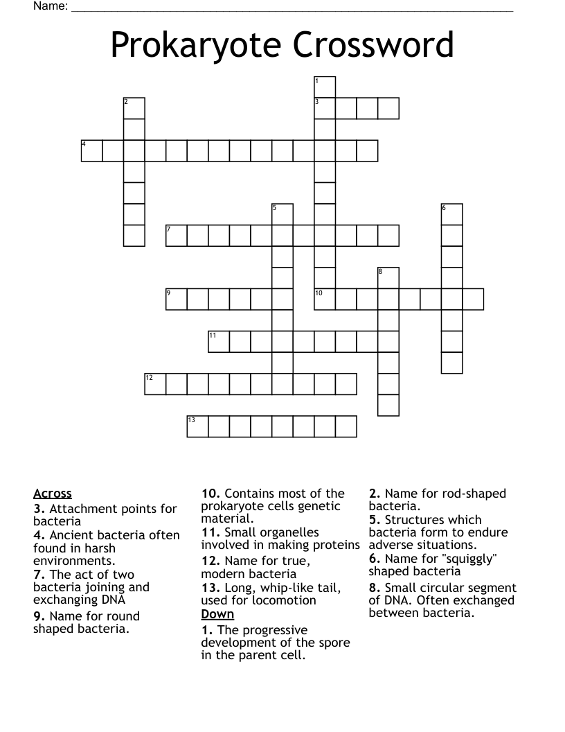 Prokaryote Crossword