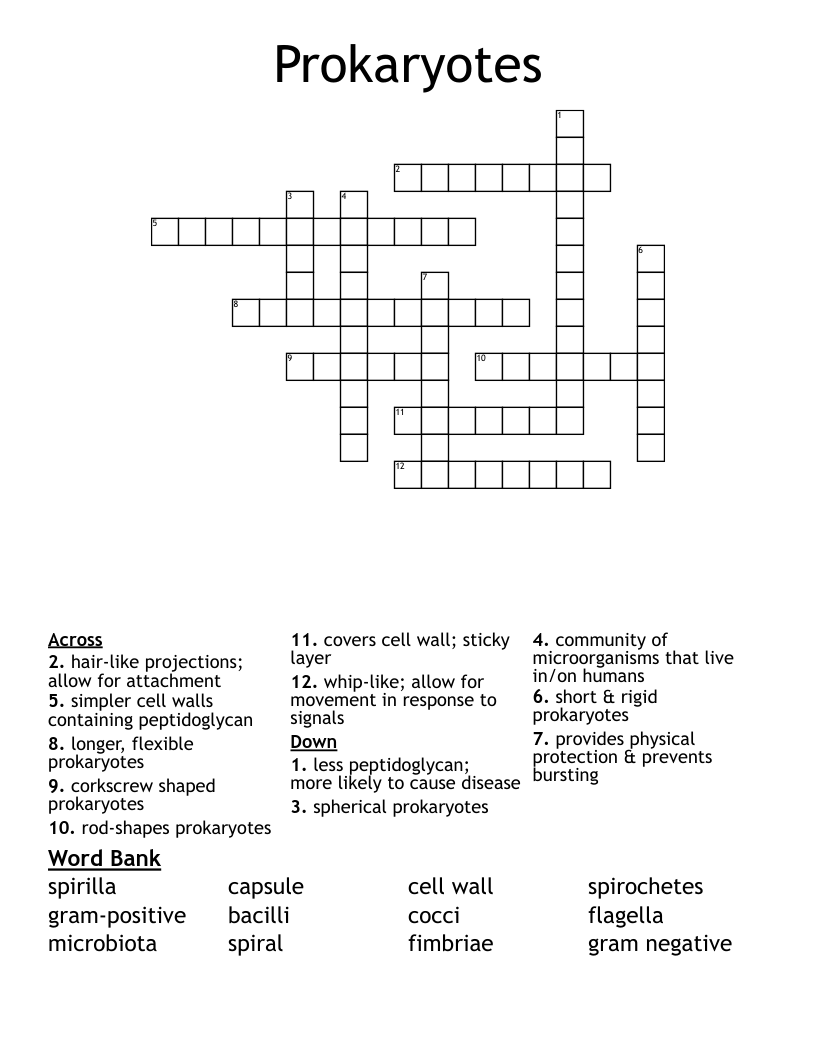 Prokaryotes Crossword