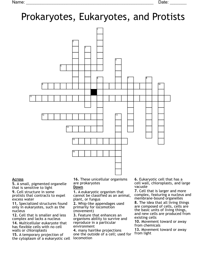 Prokaryotes, Eukaryotes, and Protists Crossword