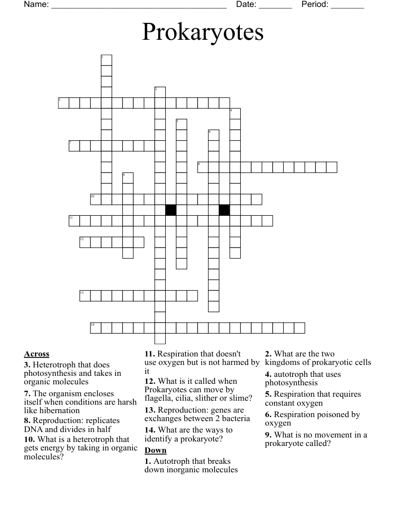 Prokaryotes  Crossword