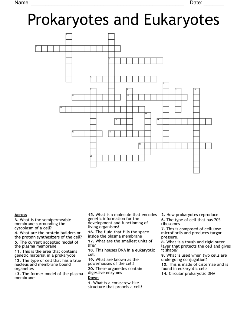 Prokaryotes and Eukaryotes Crossword