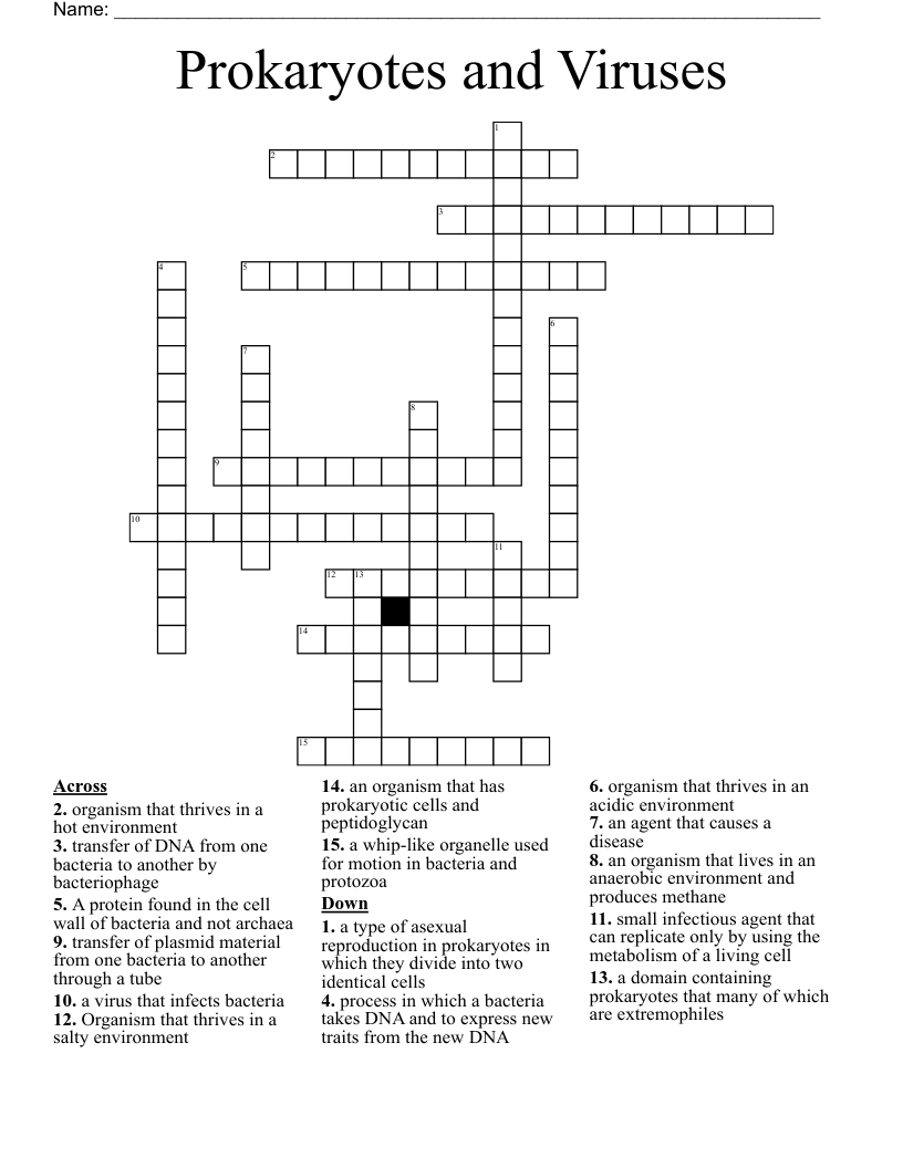 Prokaryotes and Viruses Crossword