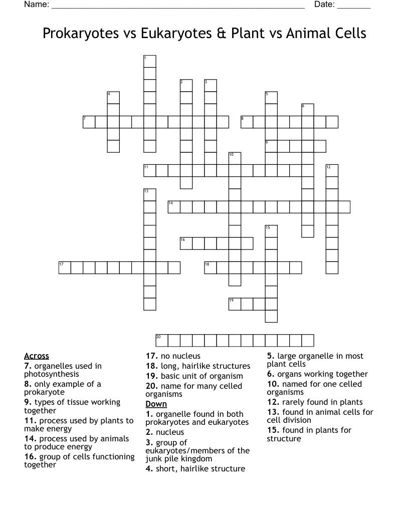 Prokaryotes vs Eukaryotes & Plant vs Animal Cells Crossword