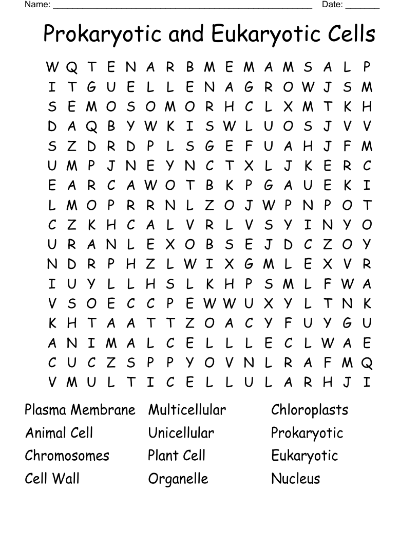 Prokaryotic and Eukaryotic Cells Word Search