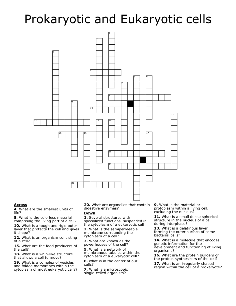 Prokaryotic and Eukaryotic cells Crossword