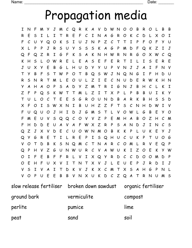 Propagation media Word Search