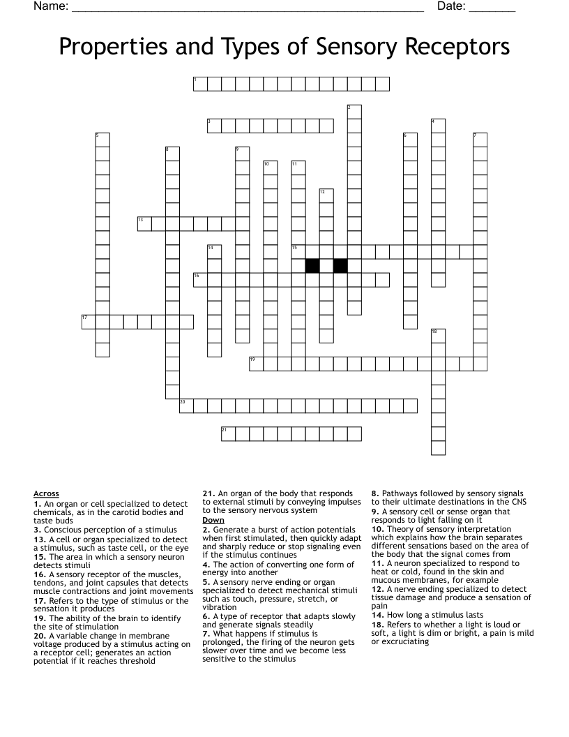 Properties and Types of Sensory Receptors Crossword