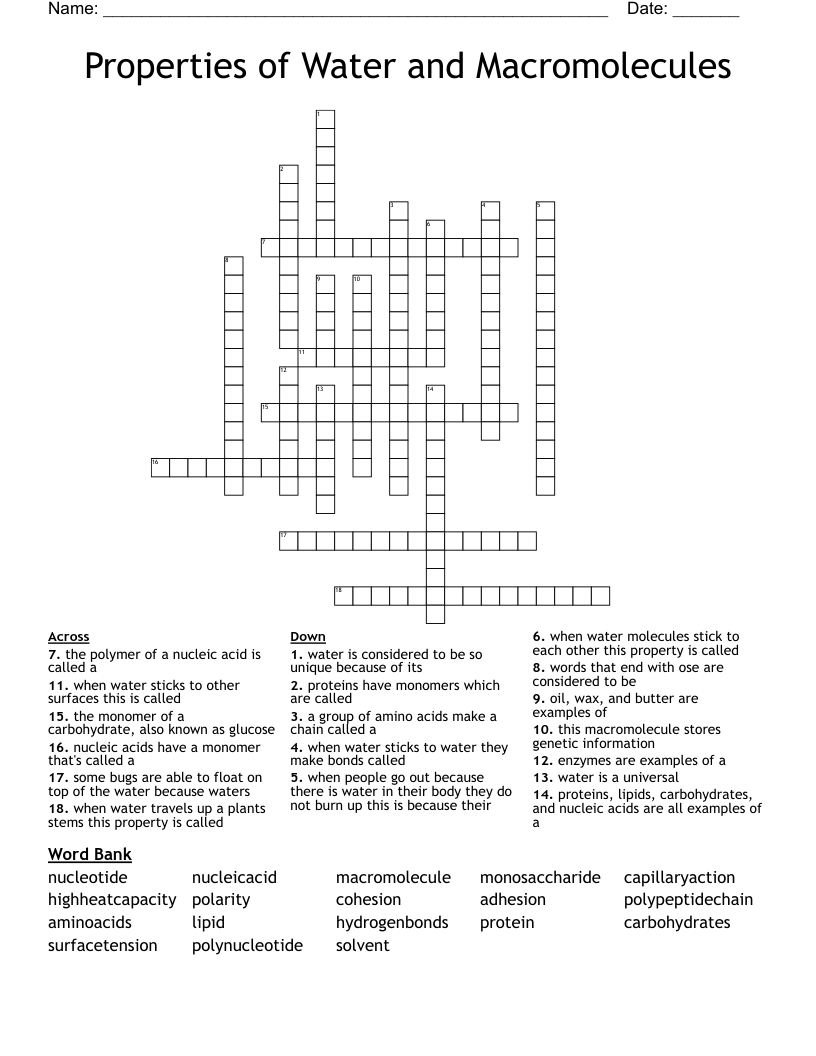 Properties of Water and Macromolecules Crossword