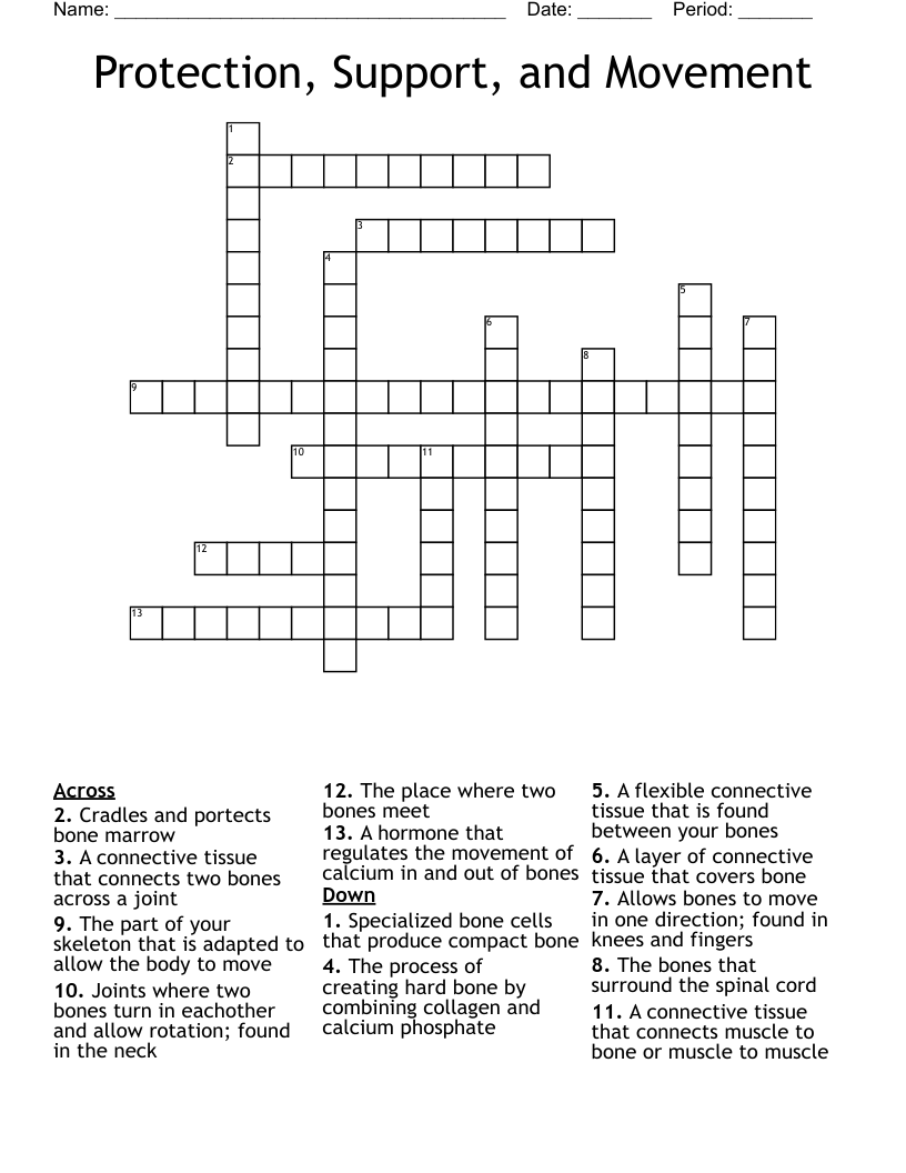 Protection, Support, and Movement Crossword