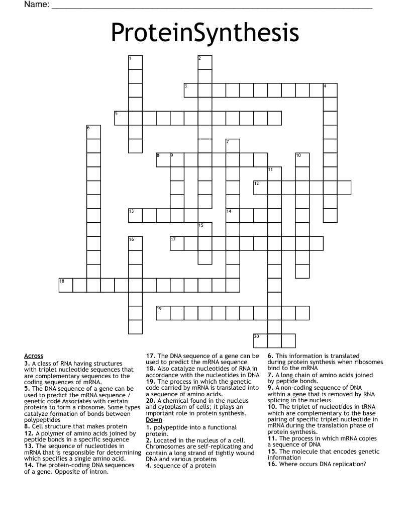ProteinSynthesis Crossword