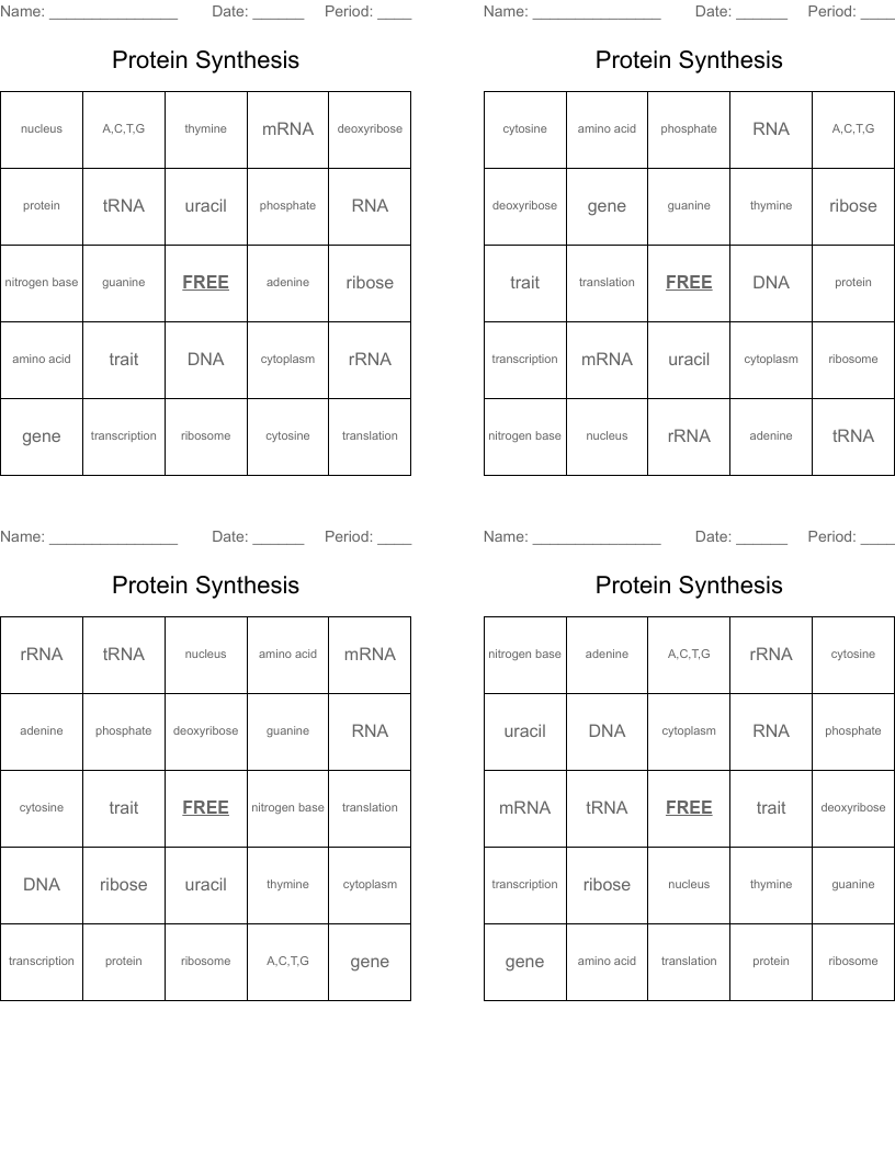 Protein Synthesis Bingo Cards