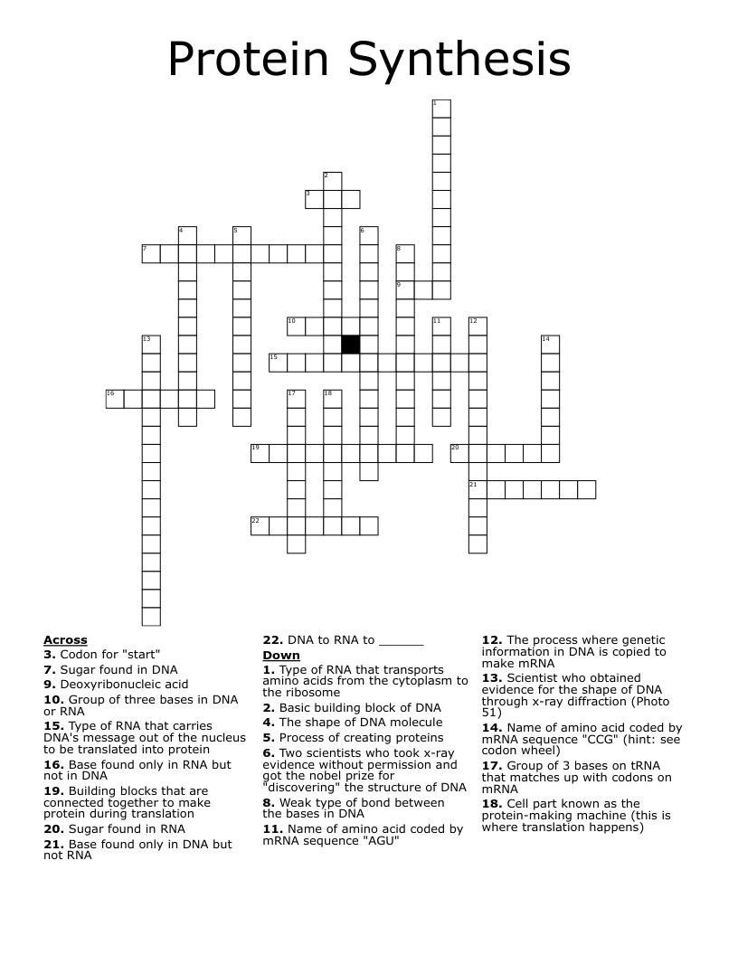 Protein Synthesis Crossword