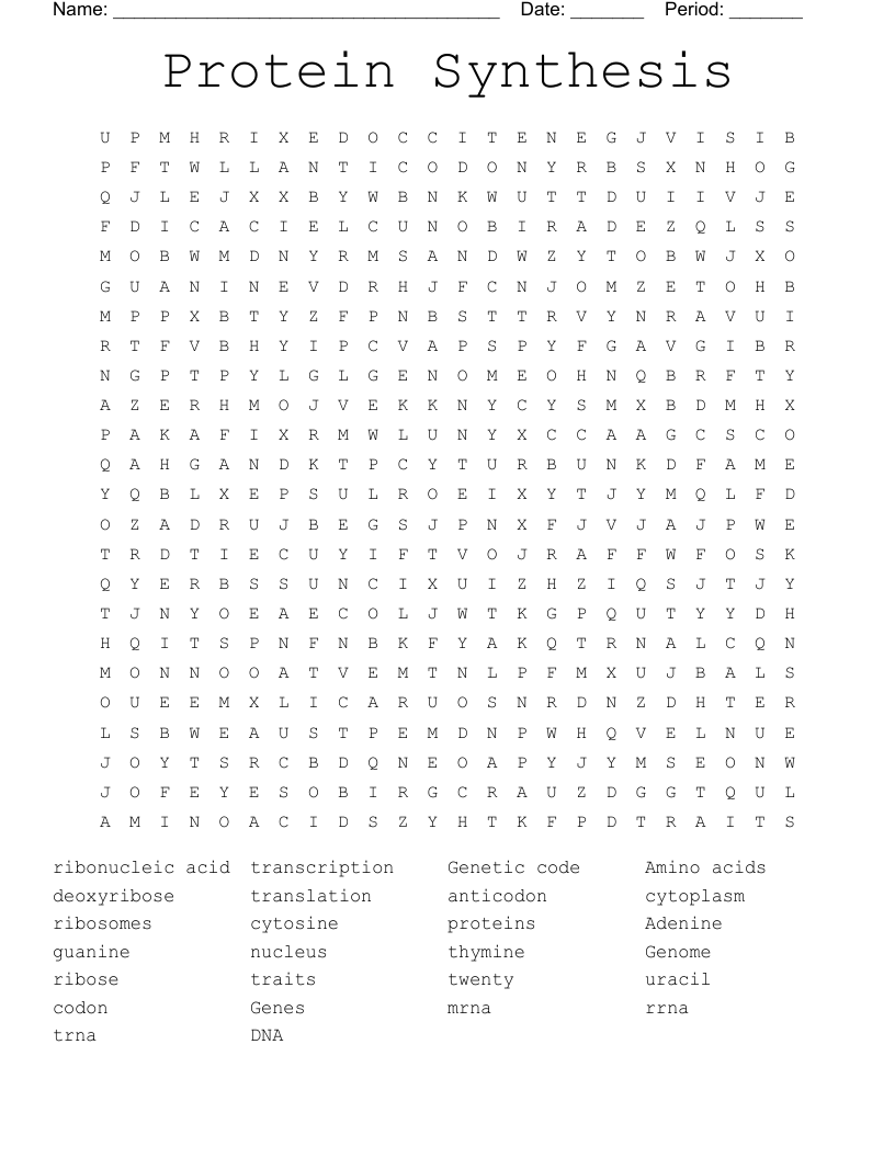 Protein Synthesis Word Search