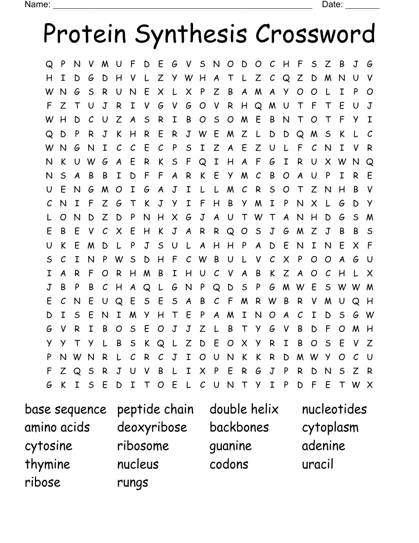 Protein Synthesis Crossword Word Search