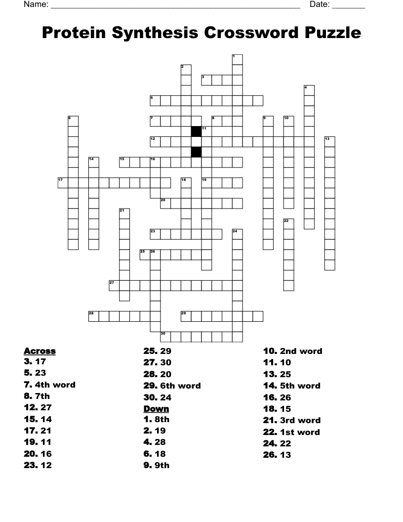Protein Synthesis Crossword Puzzle
