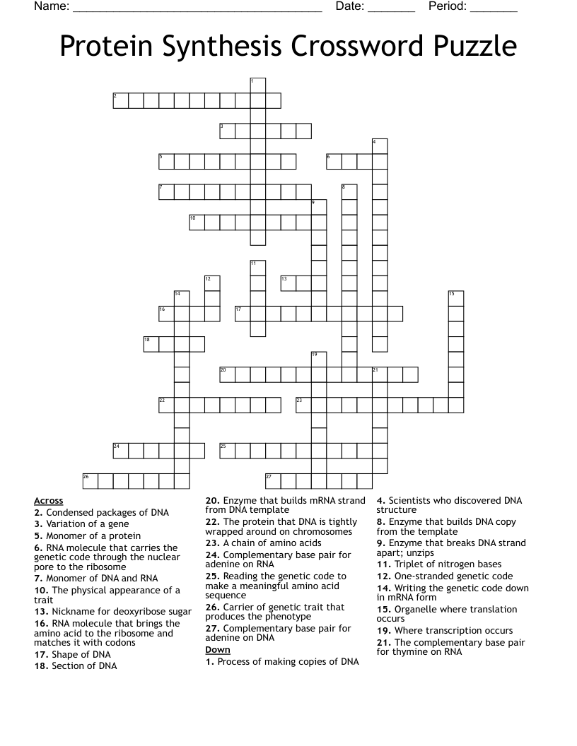 Protein Synthesis Crossword Puzzle