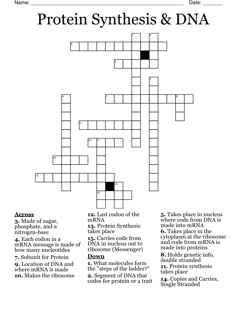 Protein Synthesis & DNA Crossword