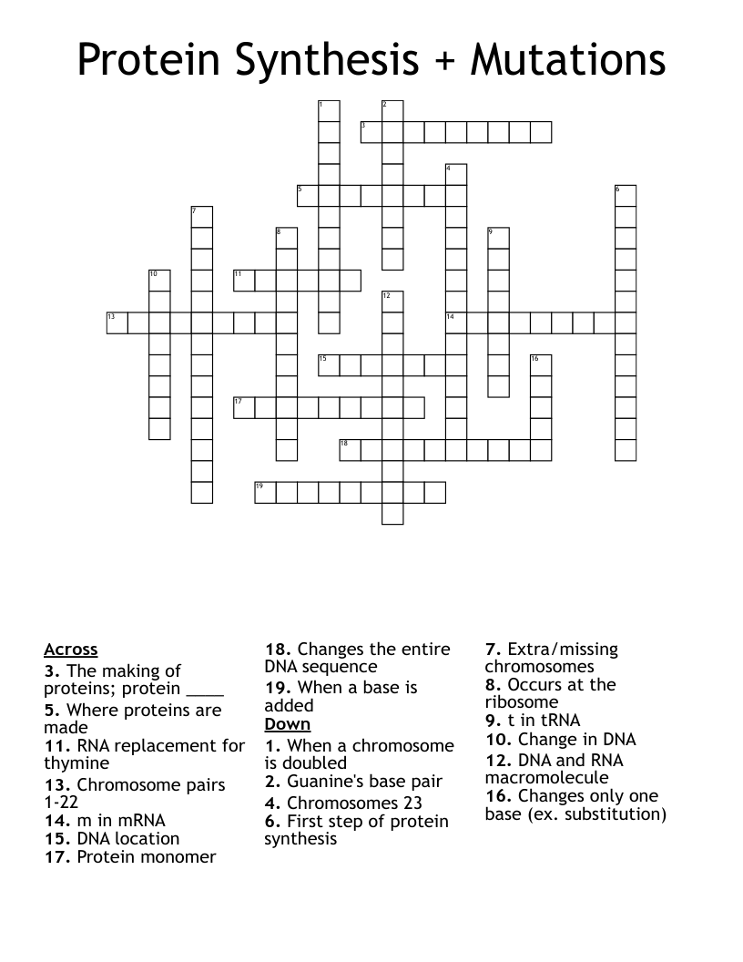 Protein Synthesis + Mutations Crossword